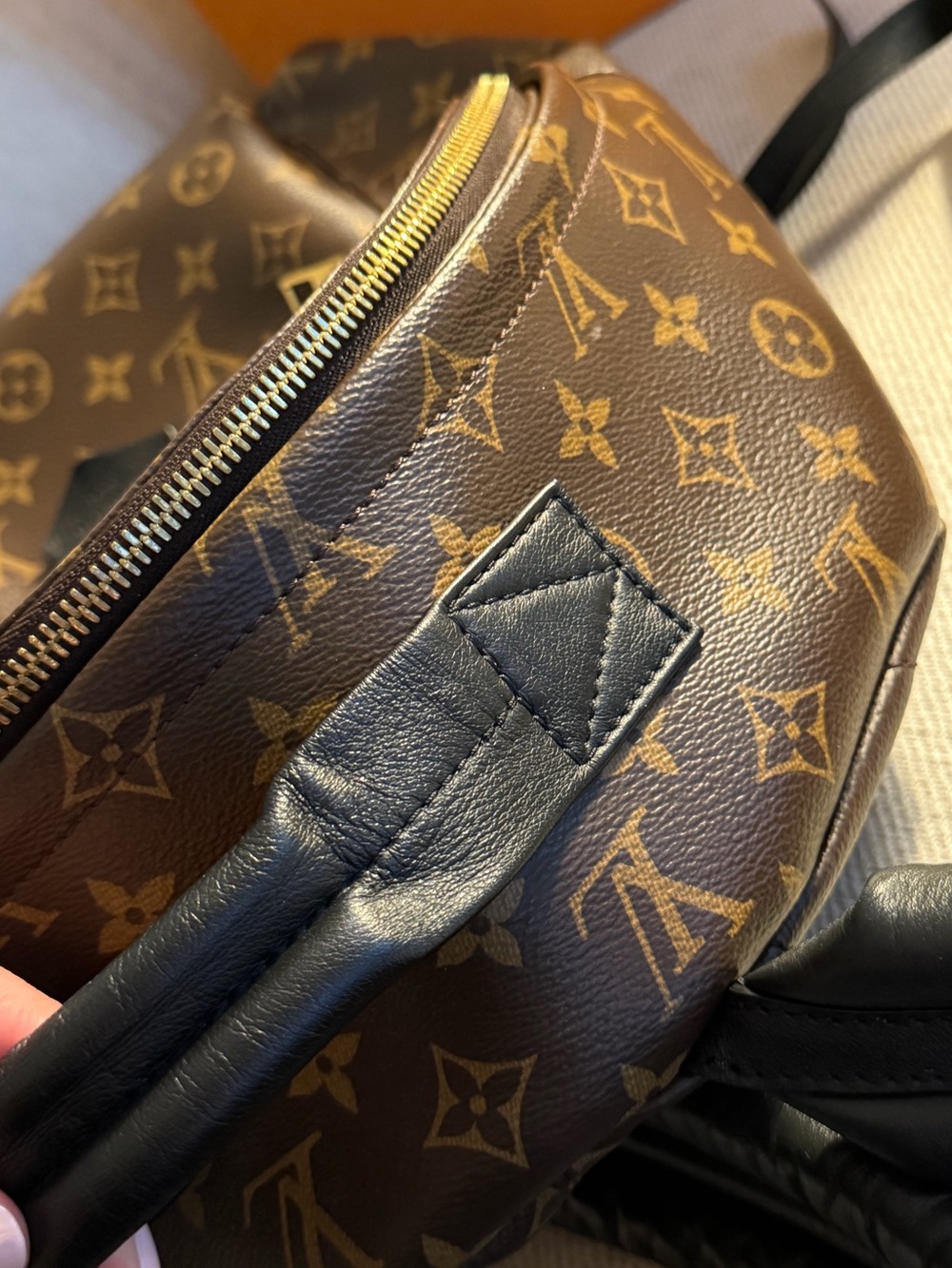 LOUIS VUITTON Monogram Canvas Palm Springs MM Backpack Bag - Picture 11 of 14